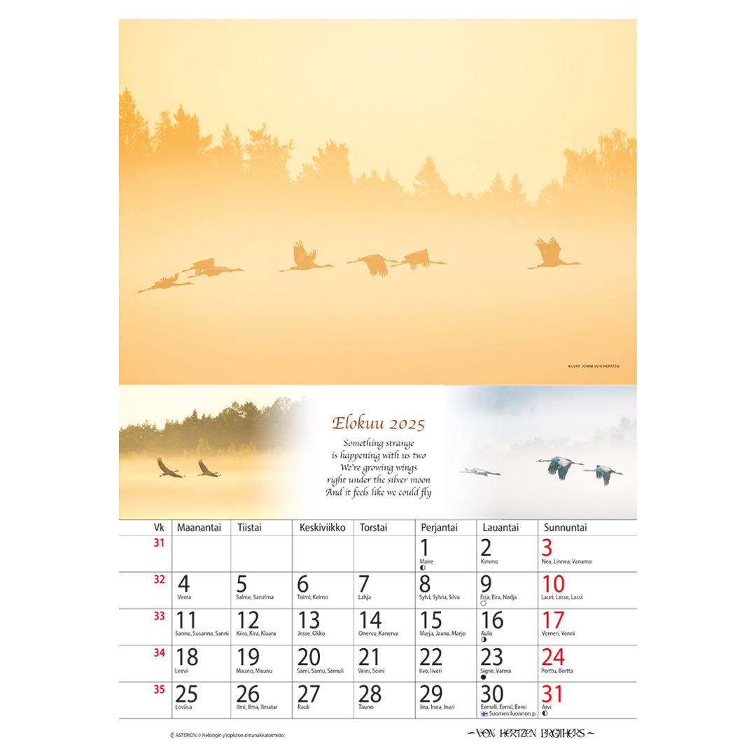 2025 In Murmuration Charity Calendar