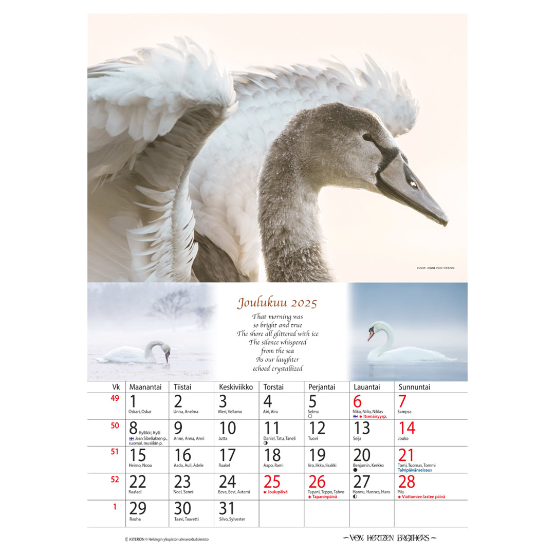 2025 In Murmuration Charity Calendar